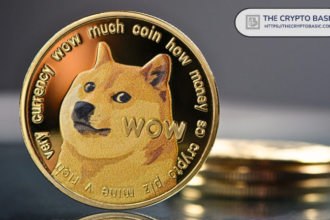 Who is the top holder for Doge?