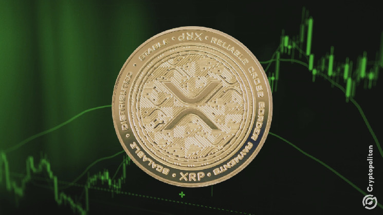 XRP sees a surge in addresses of 620% after Trump has risen