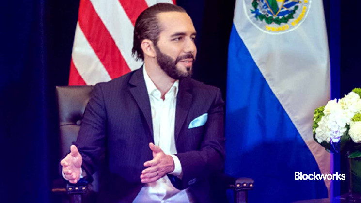 How Bukel went from mayor to the most powerful Bitcoin Maxie on Earth