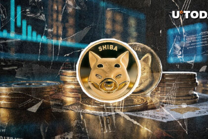 Important warning issued by the SHIB team: Details