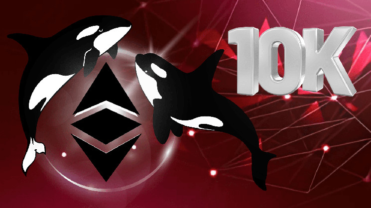 Does ETH reach $10K as soon as whales accumulate?