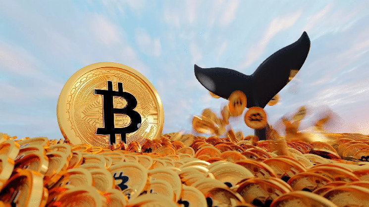 It owns a huge amount of BTC - how much profit will it make here?