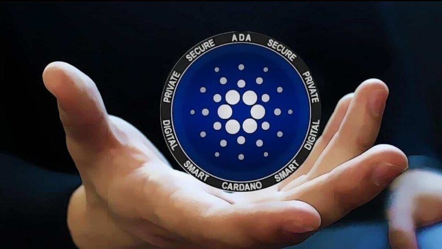 3D dogecoin vault with downward arrow and stacked coins