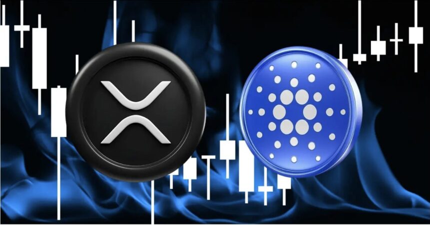 XRP coins on purple digital background with price prediction text