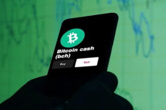 Bitcoin Cash surprises the market with rising prices