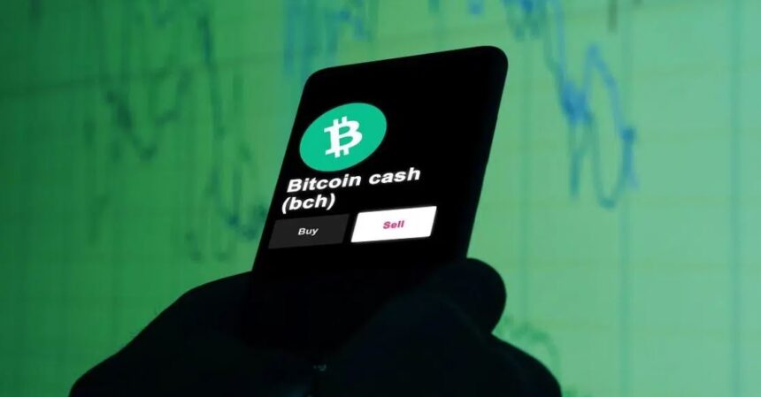 Bitcoin Cash surprises the market with rising prices