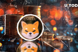 85% of Shiba Inu (SHIB) deals with not making profits - why?