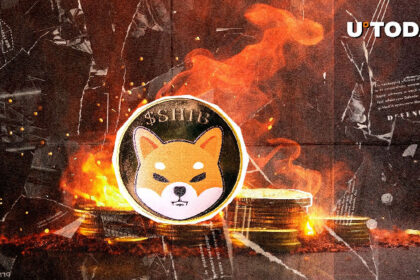 Shiba inu burn rate sky rocket 5,440%, millions of shibu burned