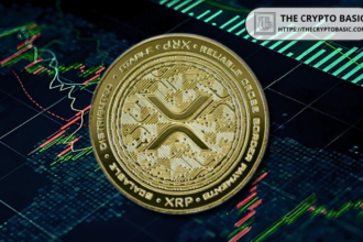 Experts say keeping just 1,000 XRP could be the best financial decision of your life