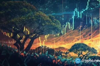 Amid speculation about the possibility of tether asylum from the US, the company's CEO suggests a large-scale African project