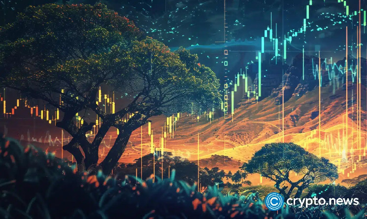 Amid speculation about the possibility of tether asylum from the US, the company's CEO suggests a large-scale African project