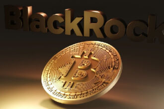 BlackRock Digital Assets Head criticizes the Bitcoin story as a risk-on asset