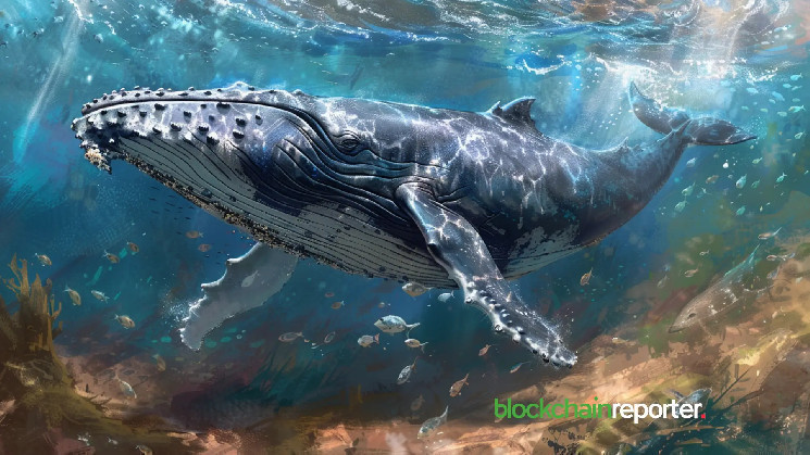 Pepe Whale scoops a $2.18 million Aave, what's next for Aave?