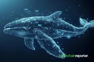Pepe Whale 607,863 gains momentum as a pendle token