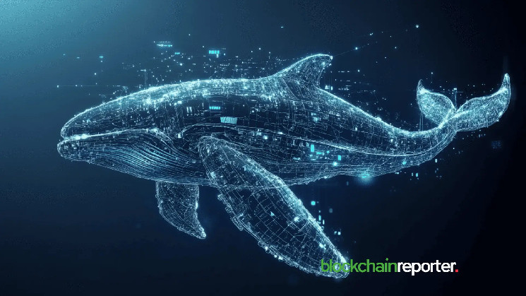 Pepe Whale 607,863 gains momentum as a pendle token