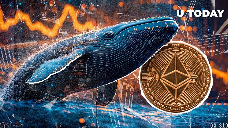 Amazing Ethereum (ETH) whale accumulation just began: More Information
