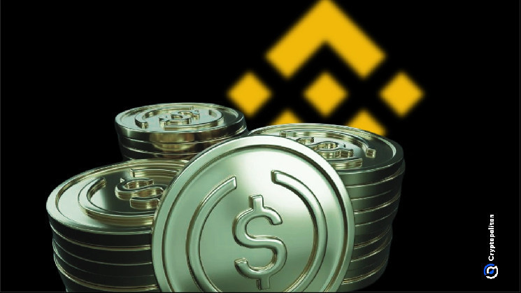 Binance draws in record-breaking influx of stubcoins