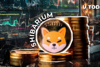 Shiba Inu's perfume on the collapse of a billion transactions. What remains?