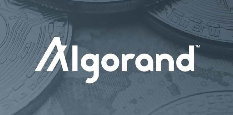 Algorand Foundation and The Core Launch ‘Build on Blockchain’ Series for Industry Leaders