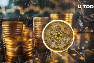 Cardano's amazing "question" is highlighted by top executives: what it is