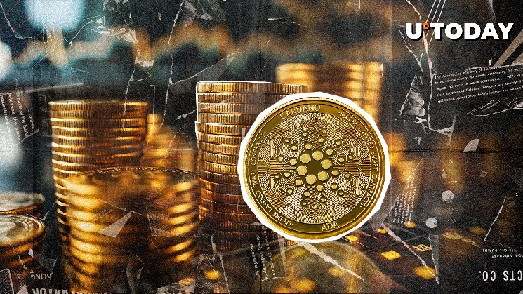 Cardano's amazing "question" is highlighted by top executives: what it is