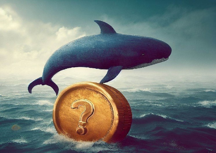Smart investors did the complete reverse of the legendary whale James Wynn Bitcoin and Ethereum trade, earning $5.6 million in just three days!