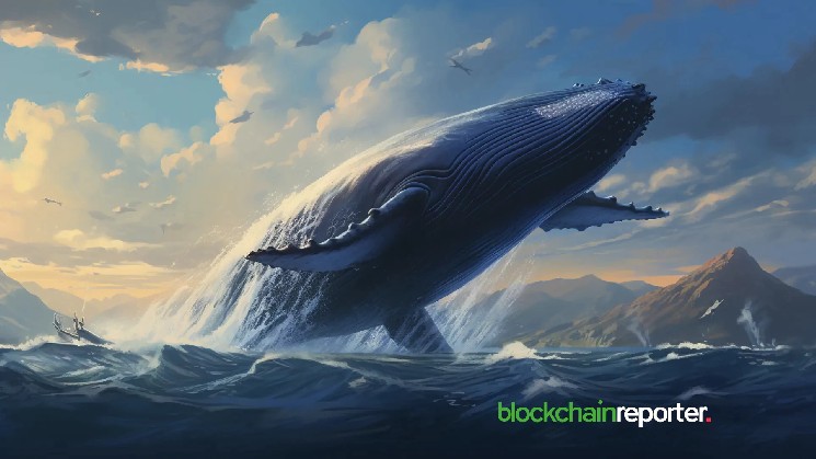 The whale spends $533 million to get Fartcoin, WIF, Bonk, Mew, & Popcat.