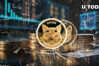 15,209,808 Shivs in 2 hours - what's going on?