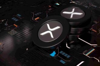XRP is open interest every month