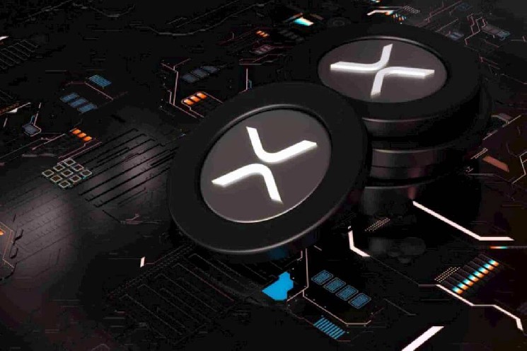 XRP is open interest every month