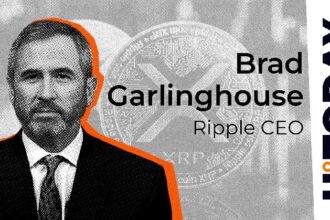 Ripple CEO responds to major XRP milestones