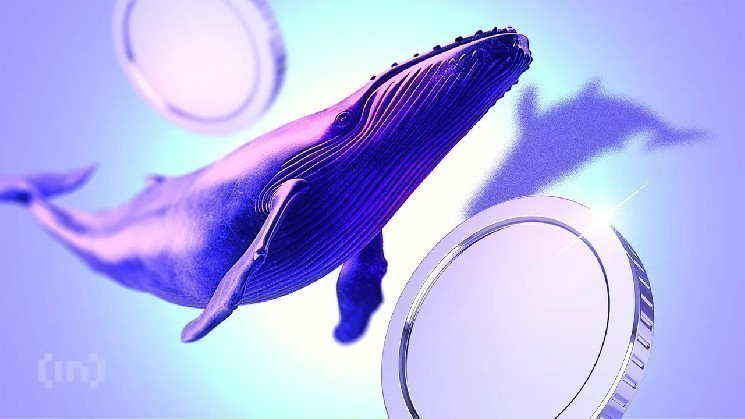Crypto Whale purchased these altcoins in the second week of May 2025