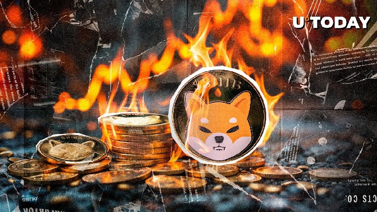 327,003,078 Shiv 300% torched as the burn rate jumps