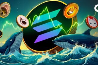 Whale profits go up to $658K in Solanamemme Coin after investing $5.86 million