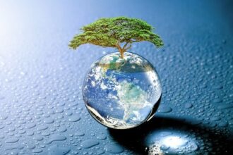 Zimbabwe rolls out blockchain-based carbon credit market system