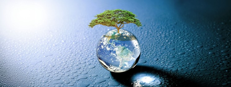 Zimbabwe rolls out blockchain-based carbon credit market system