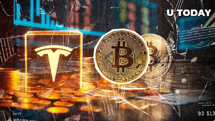 When Tesla's BTC Holdings is rising, Musk