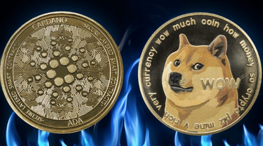 Shiba Inu