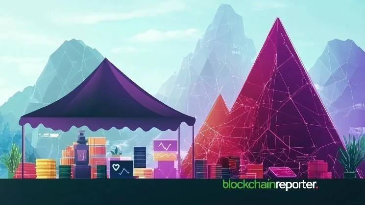 DWF Labs announces official wallets used for secondary market acquisitions