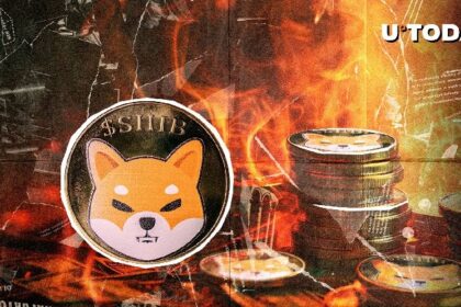A 17,900% burn rate jump in Sheeva dogs, burning 49 million shavings