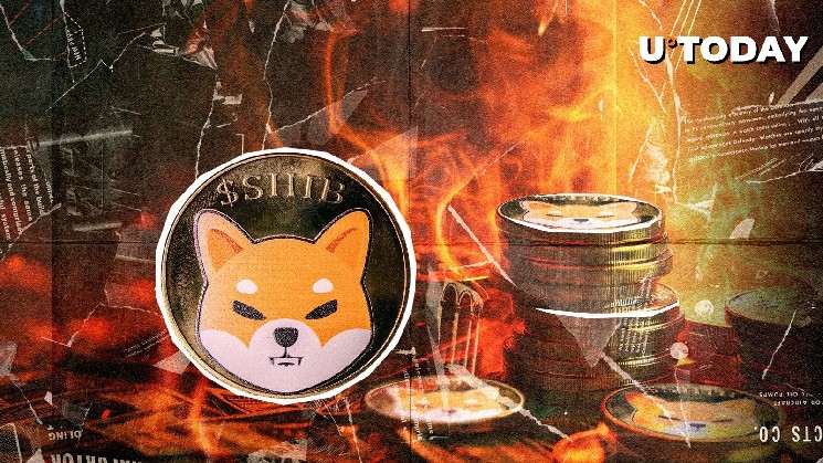A 17,900% burn rate jump in Sheeva dogs, burning 49 million shavings