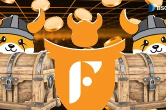 How does the Flokifi locker work?