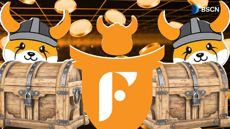 How does the Flokifi locker work?