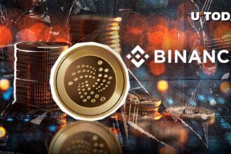 The vinanence to suspend IOTA's withdrawal on this day, why