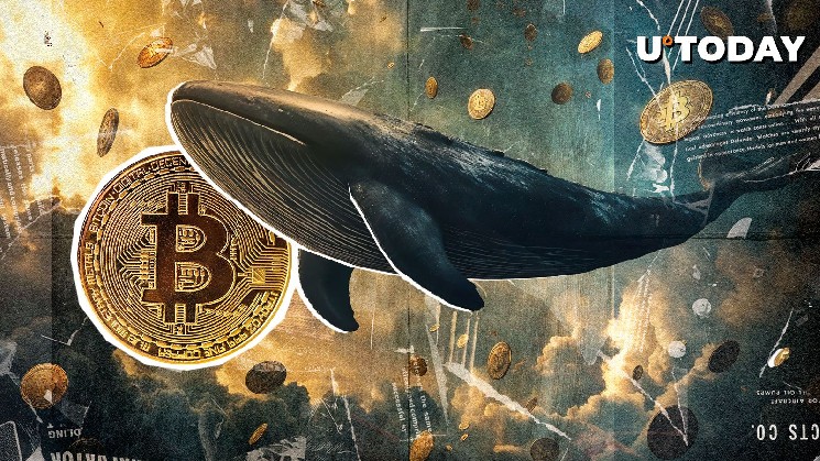 $810 million Bitcoin Long Whale Doubles with His BTC: Details