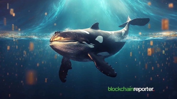 Whale Shorts $121 million Sol has 20x leverage and currently holds unrealized profit of $16 million