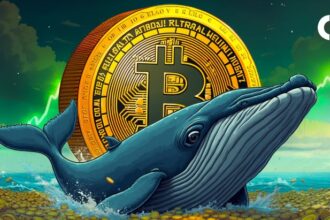 Does this whale leverage bet push Bitcoin to its highest height ever?
