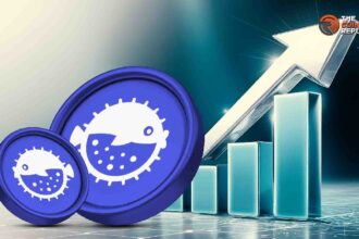 After the announcement of this Binance, Puffer Price will rise by 25% and Port3 will rise by 9%