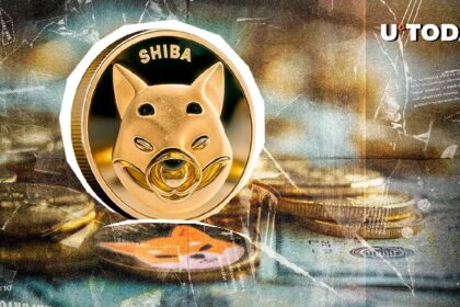 Shiba Inu (SHIB) Large Transaction Volume Down 88%: Details