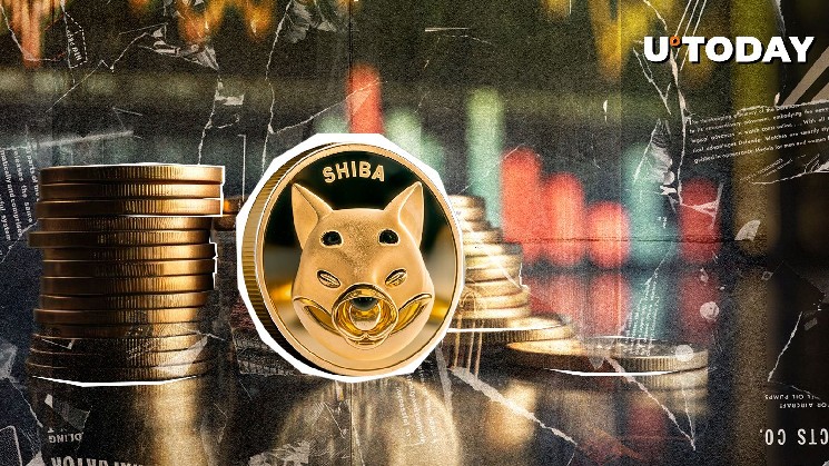 Important Crypto Market Statement published by Shib Team: More Information